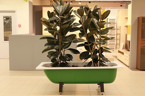 Фото Яркого изнутри 36